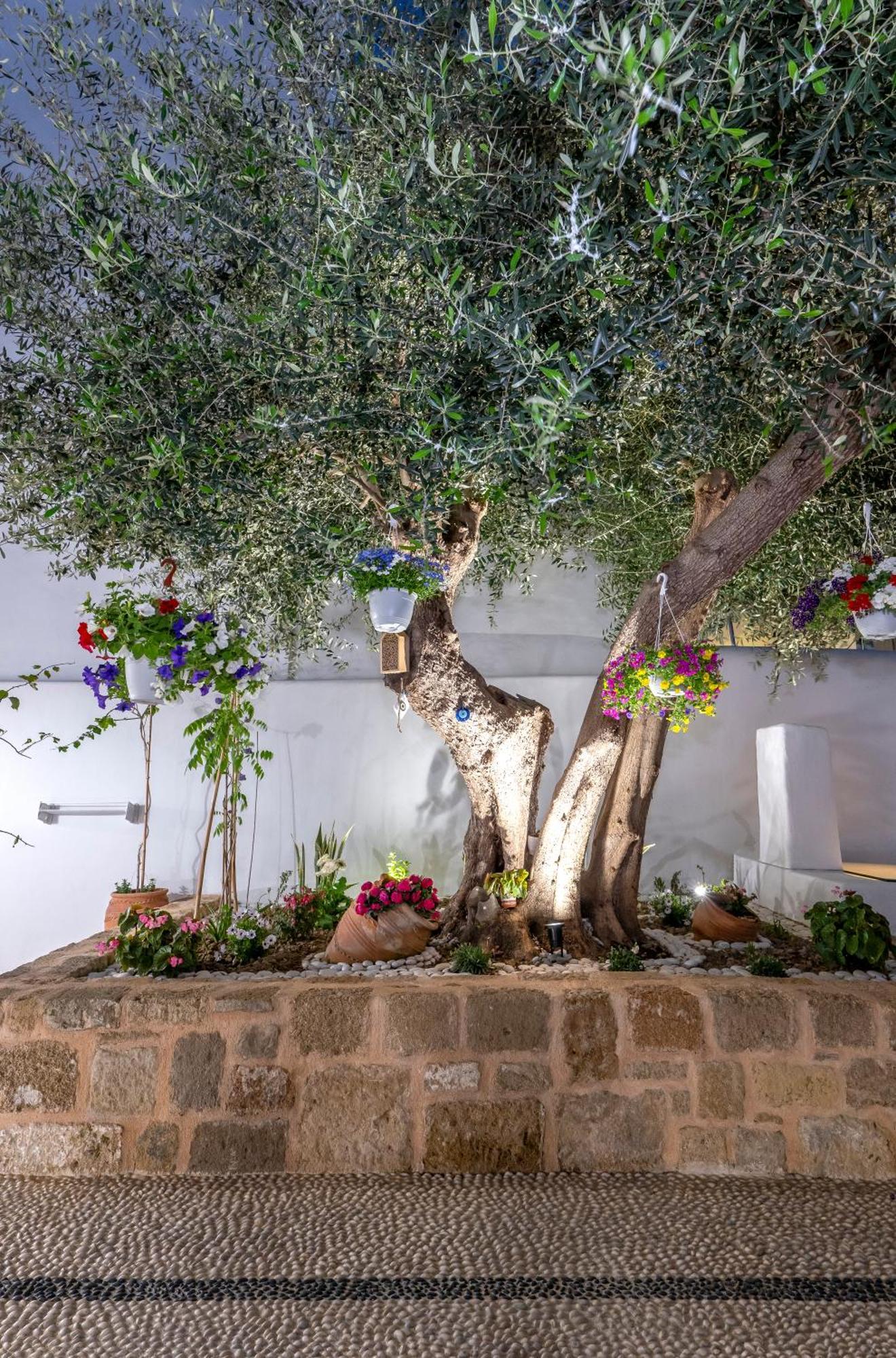 Villa Del Capo Suites Rhodes City Ngoại thất bức ảnh
