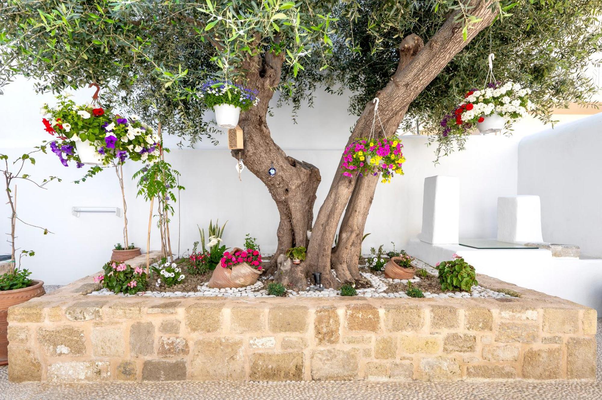 Villa Del Capo Suites Rhodes City Ngoại thất bức ảnh